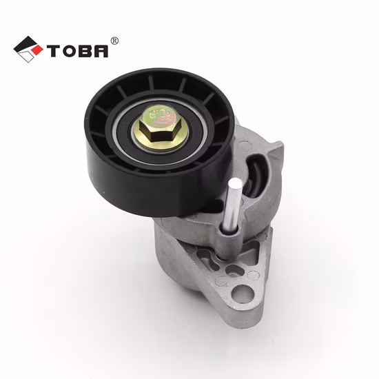 Fe-T16031 Adjustable Auto Engine Belt Tensioner OEM 2z0903133