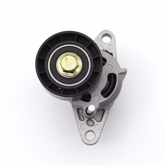 Fe-T16031 Adjustable Auto Engine Belt Tensioner OEM 2z0903133