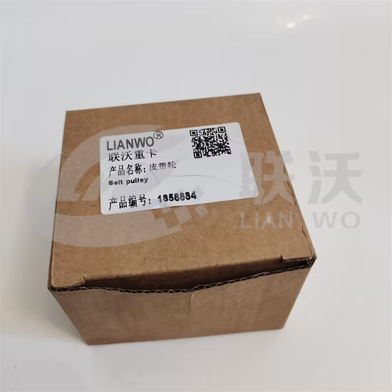 Fe-T241 European Truck Engine System Timing Belt Tensioner Pulley Ak- 6670555