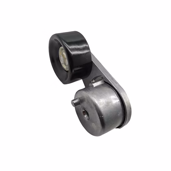 Fe-T9135 European Truck Auto Spare Parts Belt Tensioner Pulley Parts for Daf 1944053